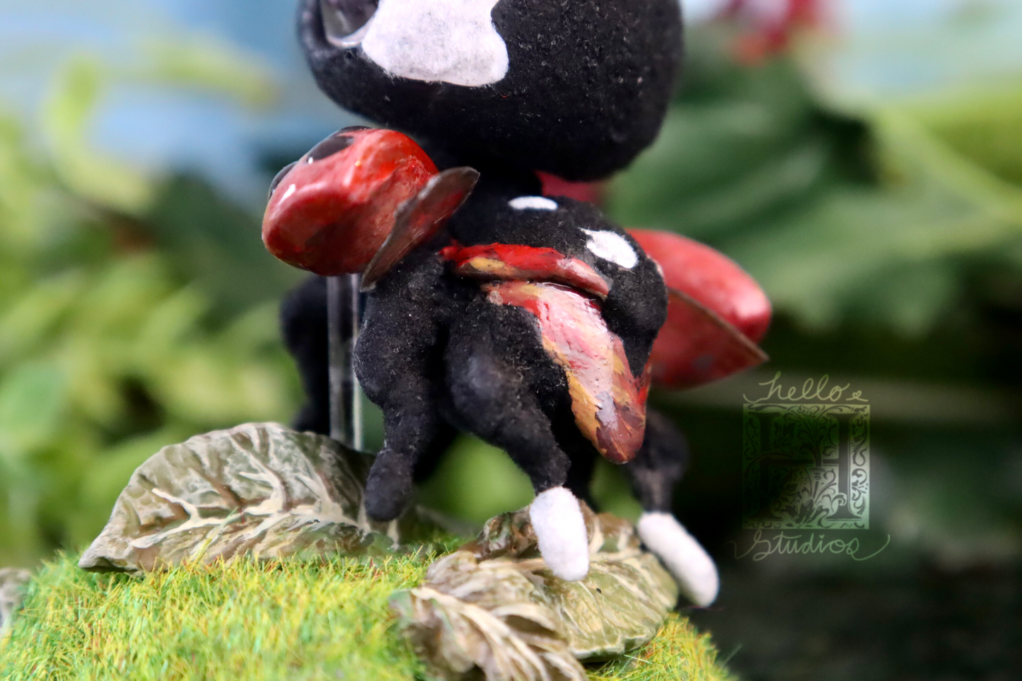 Ladybug