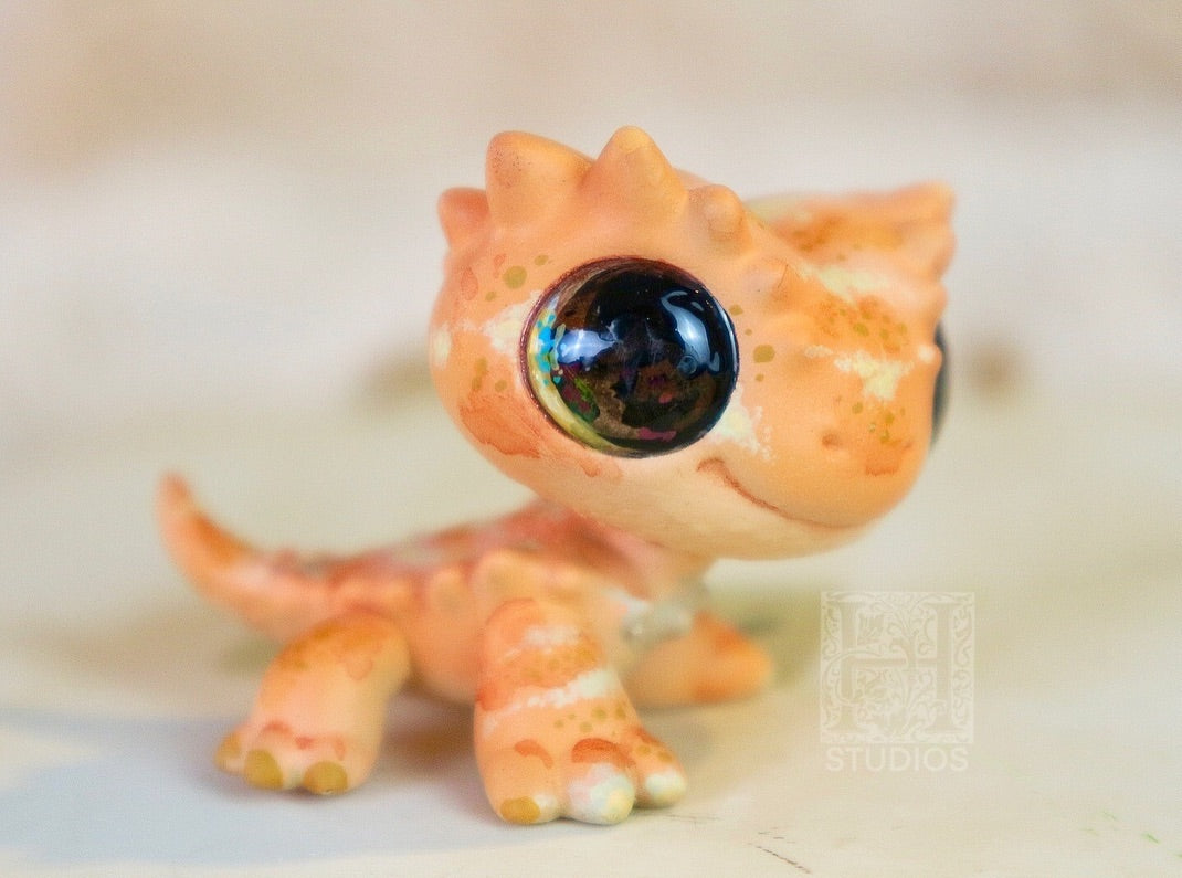 Bearded Dragon