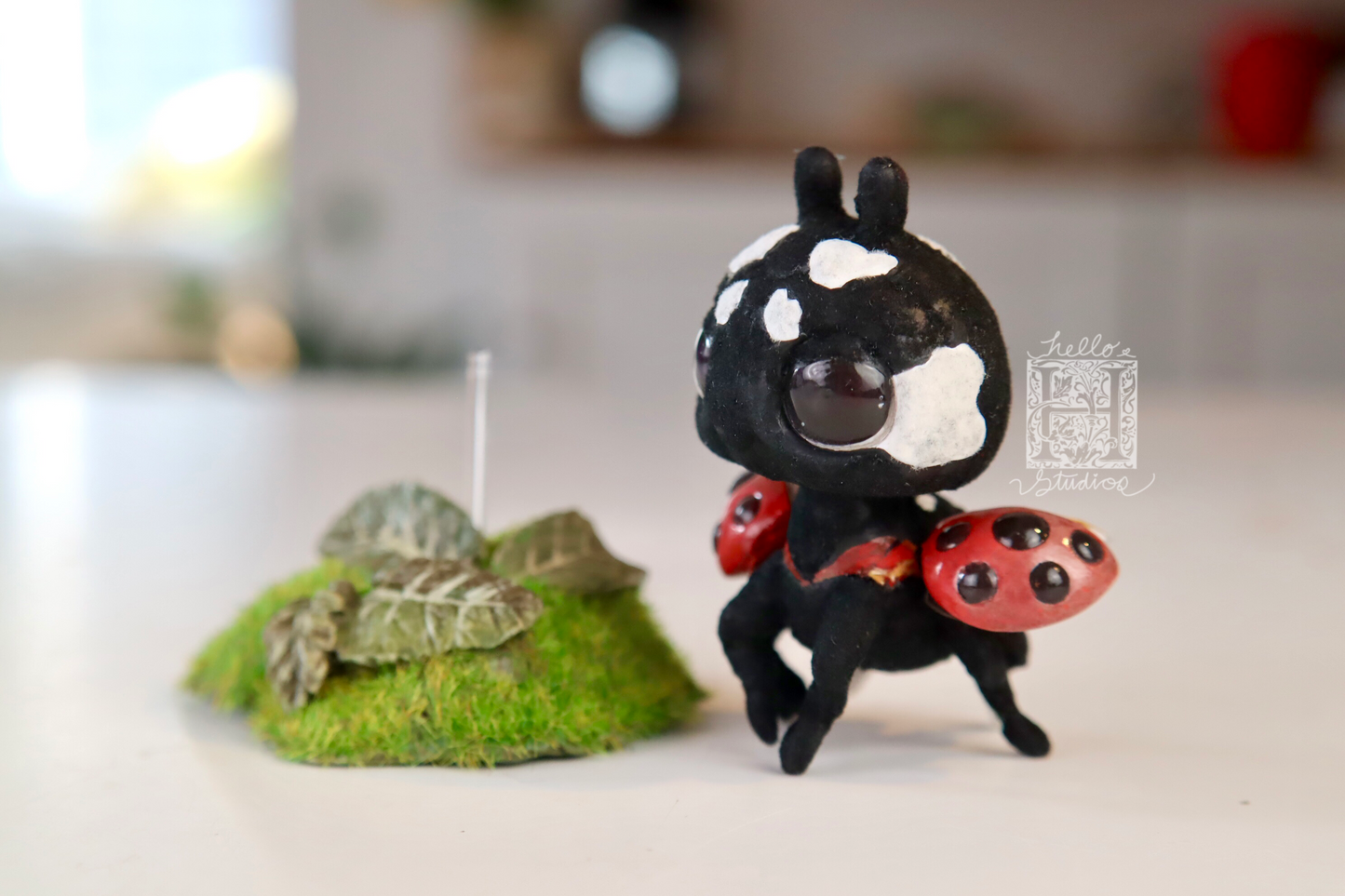 Ladybug