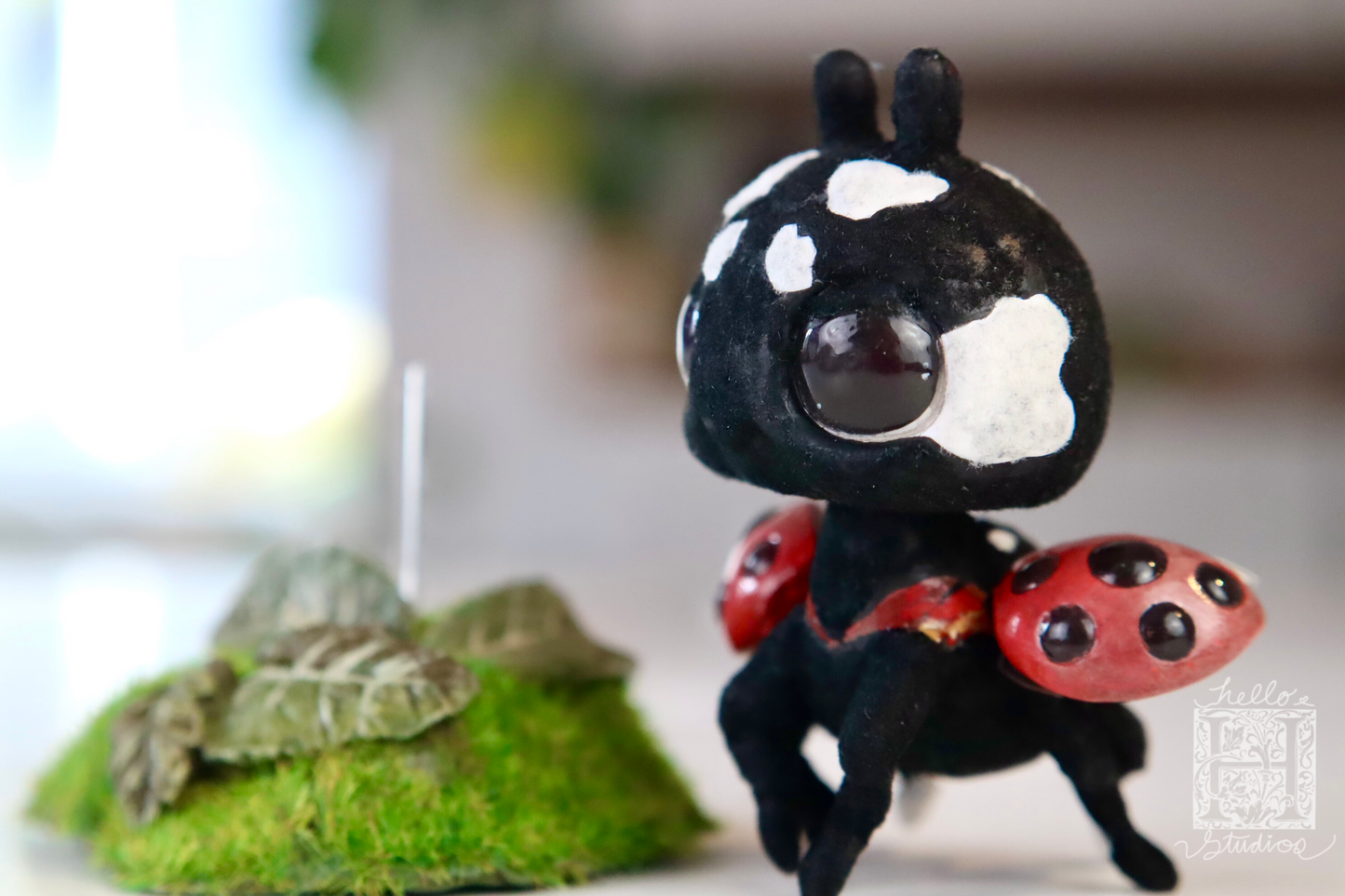 Ladybug