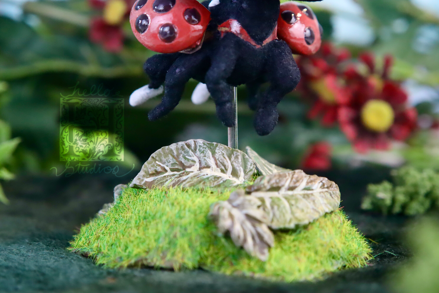 Ladybug