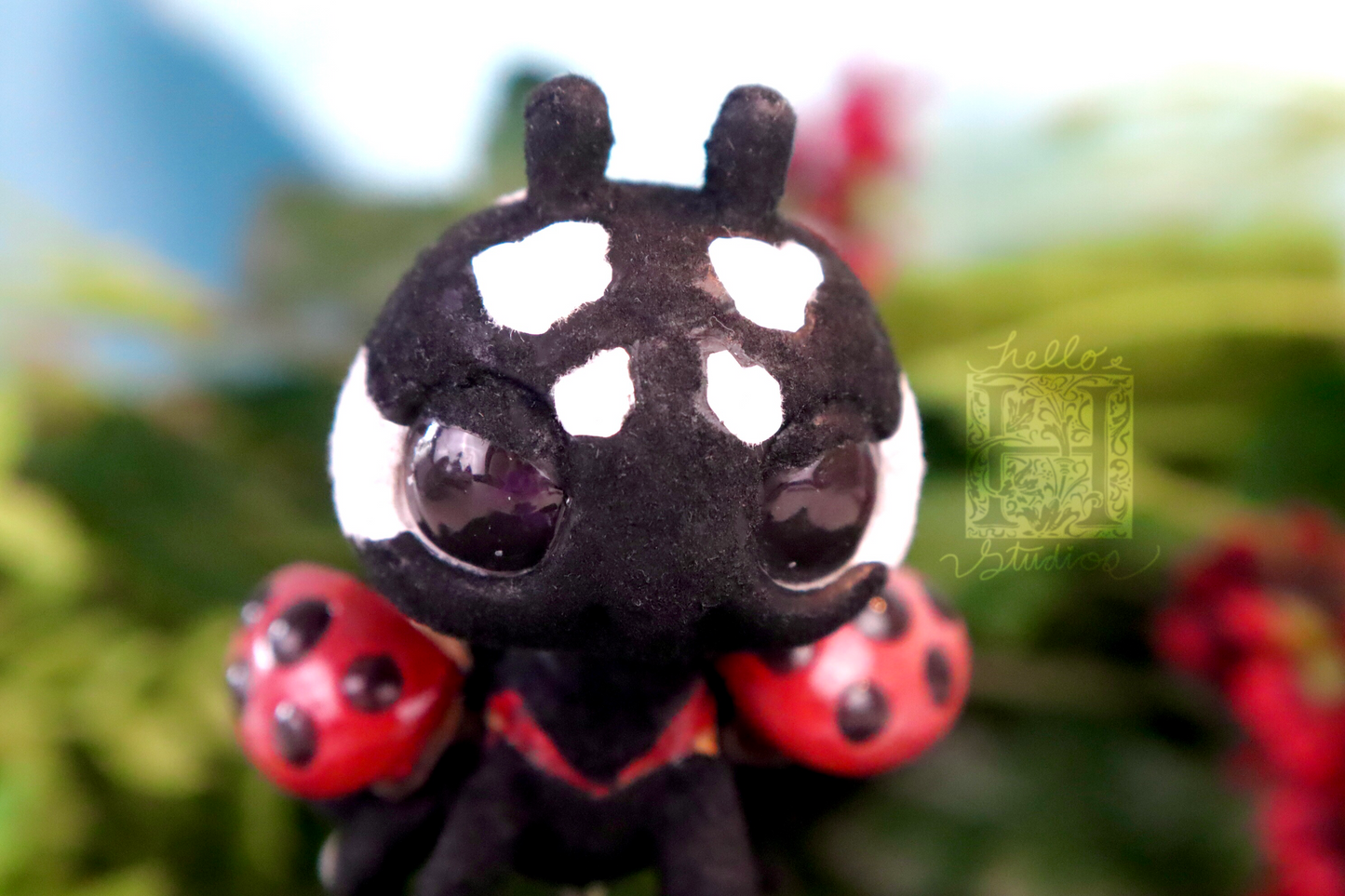 Ladybug