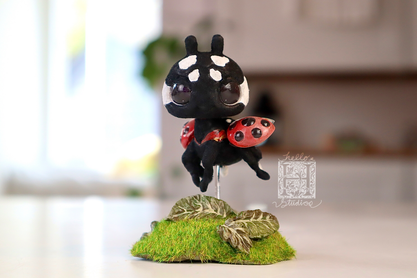 Ladybug