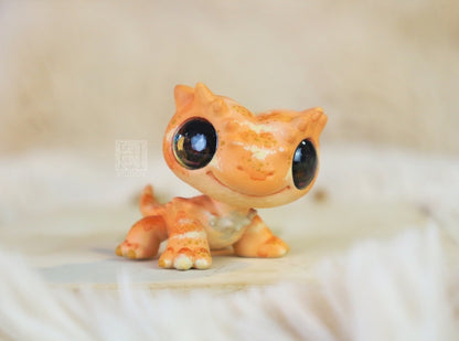 Bearded Dragon