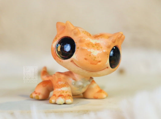 Bearded Dragon