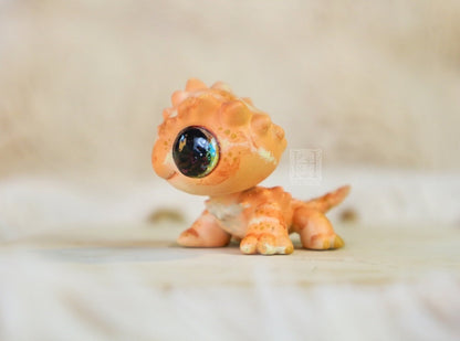 Bearded Dragon
