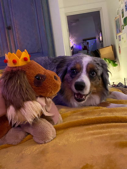 The Prince Vincent Plushy (Weighted)